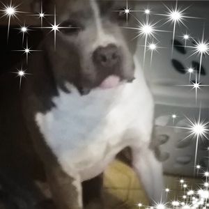 Meet your Posher, Roger rutledge